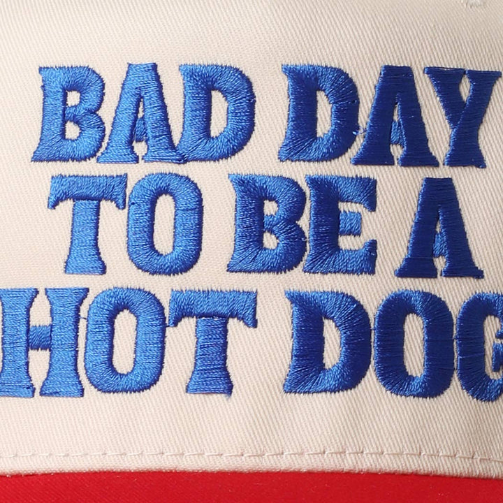 Bad Day to Be a Hotdog Hat